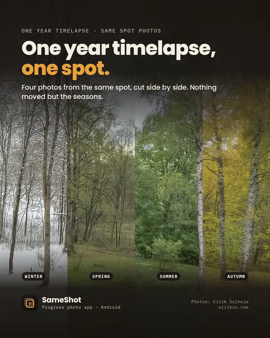 SameShot poster: One year timelapse, one spot. Four photos of the same forest from winter to autumn